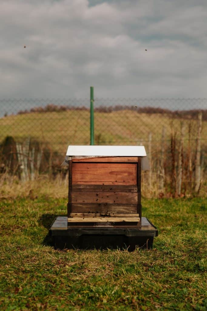 Apiary boxes