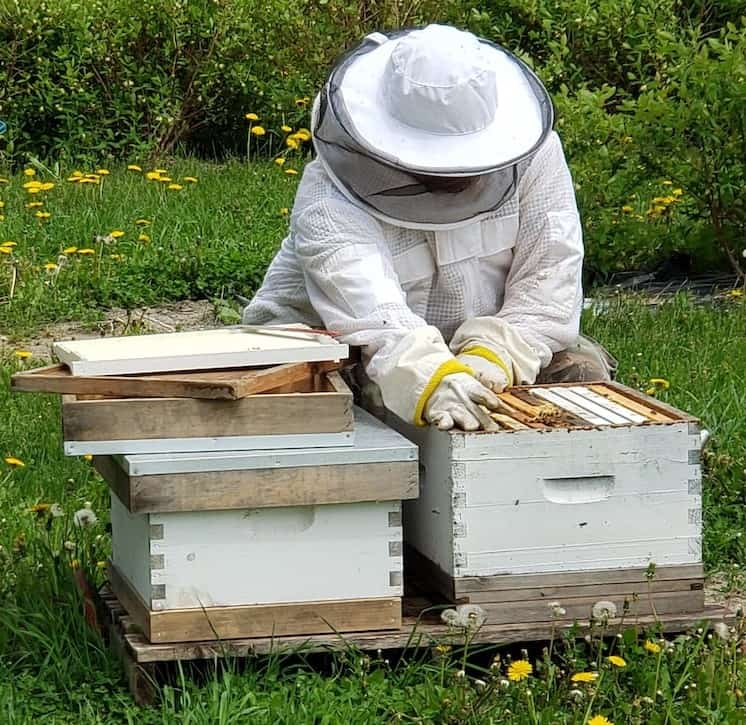 Cleaning Beekeeping Equipment