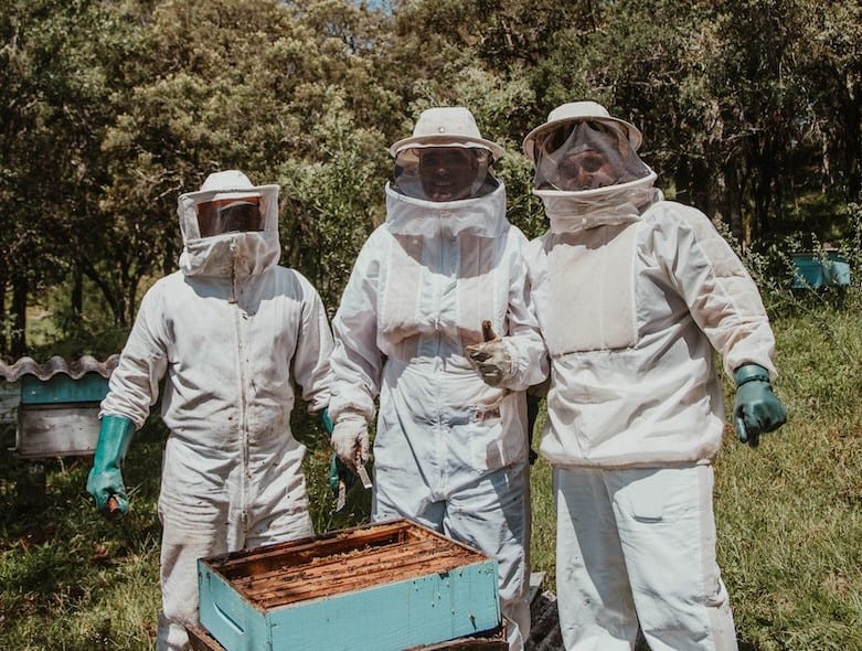 Cleaning a beekeeping suit