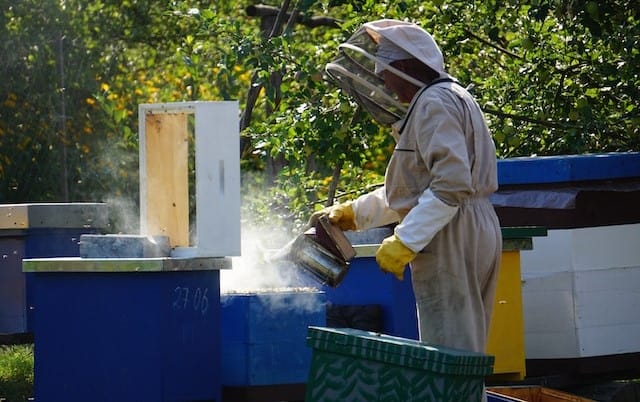 How to clean your apiary