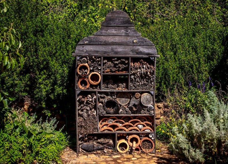 Giving carpenter bees a place to nest
