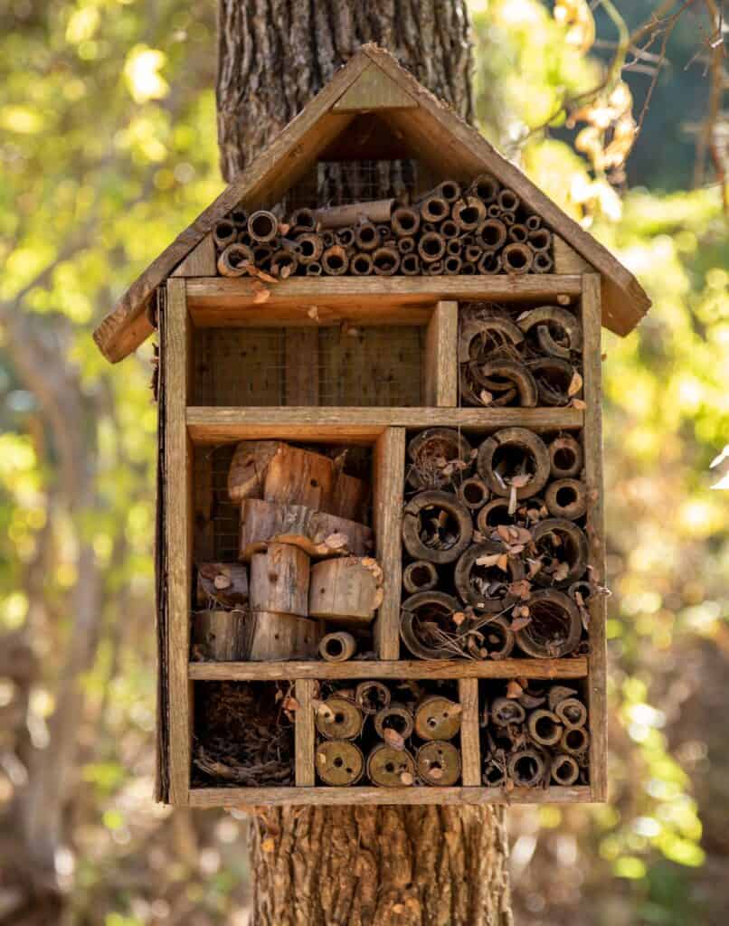 How to get rid of carpenter bees - provide a nest for them and other bees