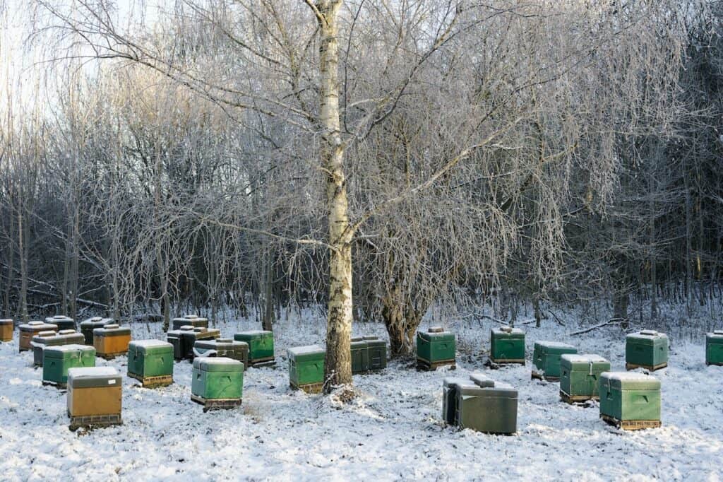 A good hive scale should be weather-resistant
