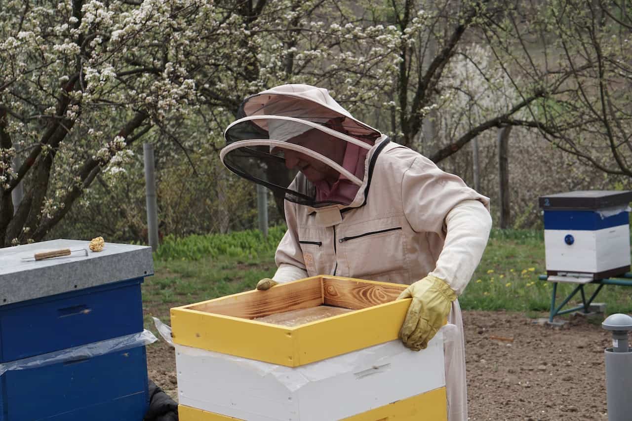 Beehive Scale