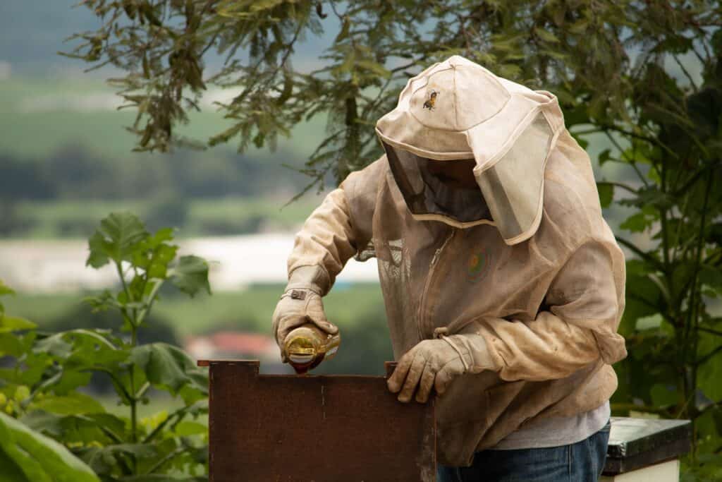 Insulating beehives for winter