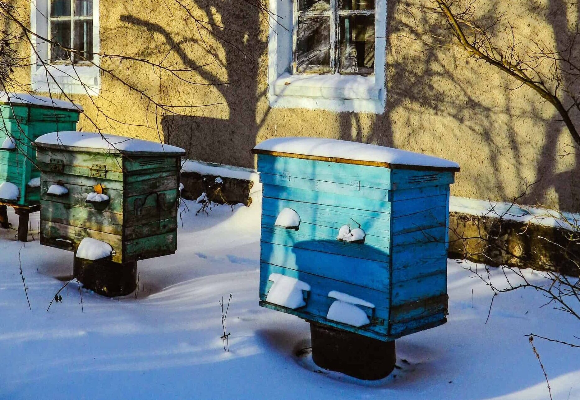 What Do Beekeepers Do In The Winter
