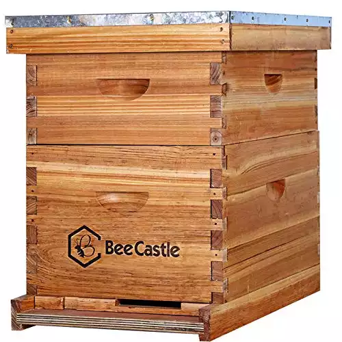 beehives like this one