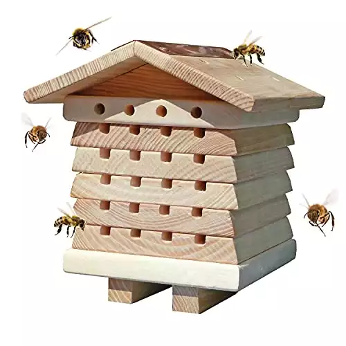 Wildlife World Interactive Wooden Bee House