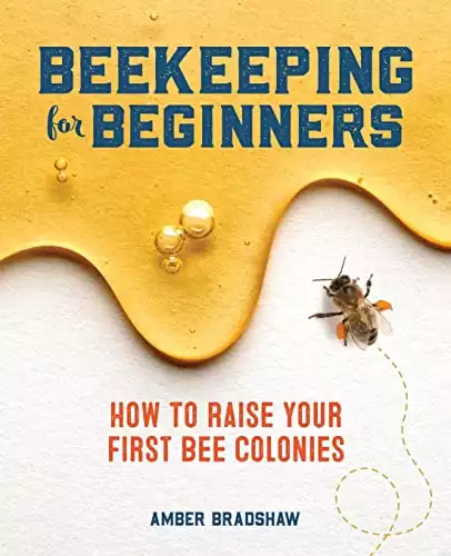 Beekeeping for Beginners by Amber Bradshaw