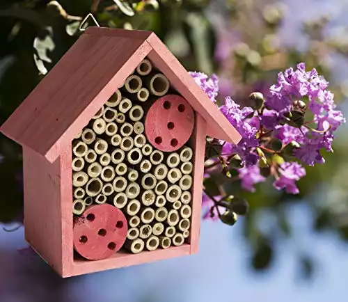 Mason Bee Houses: Bamboo Bee Hotel for Solitary Bees
