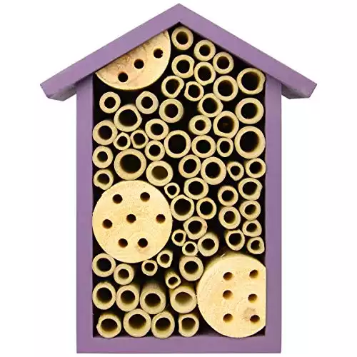 Nature's Way Purple Bee House