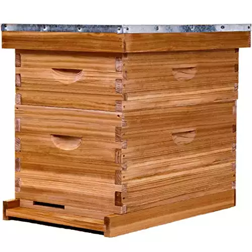 8-Frame Bee Hive by the POLLIBEE Store