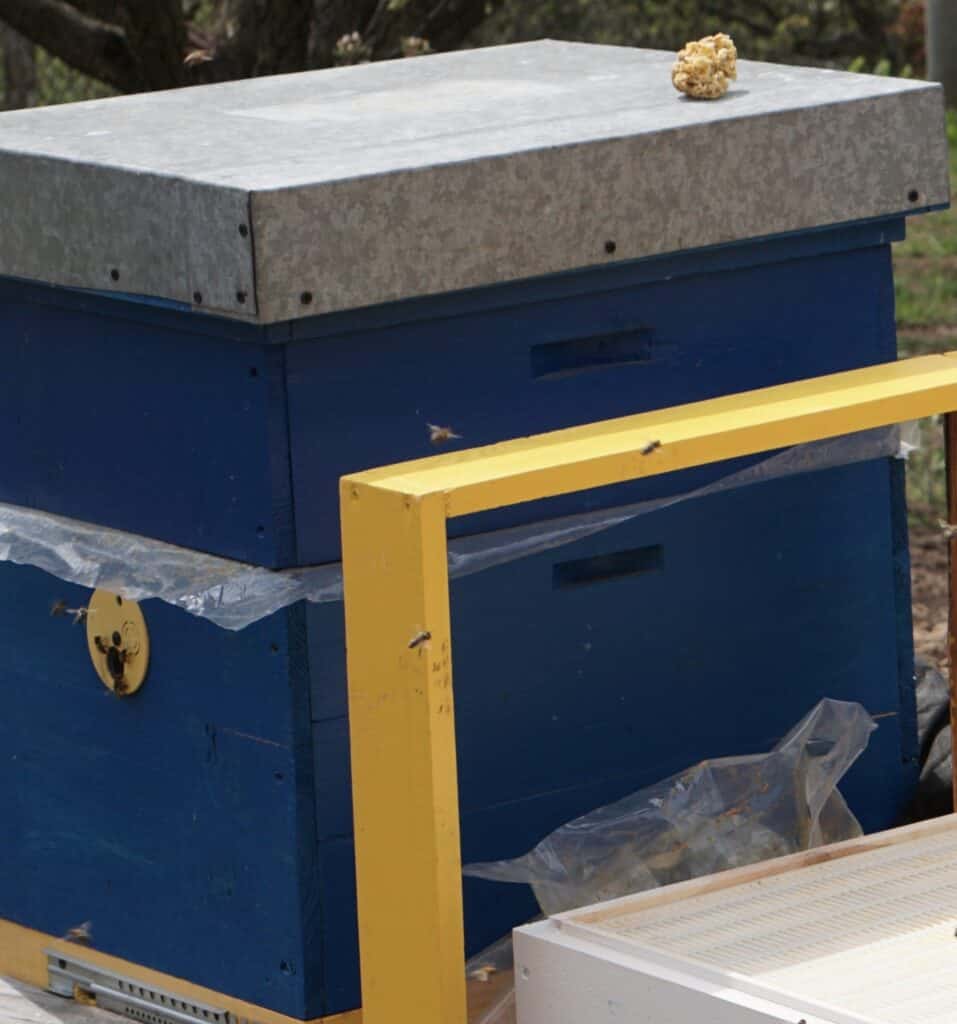 Add a top cover to the hive to protect it from harsh weather conditions