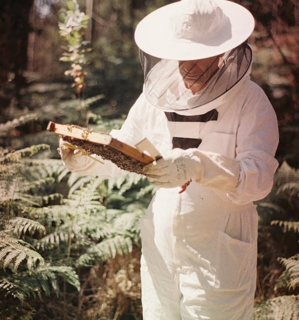 Beekeeper's protective gear