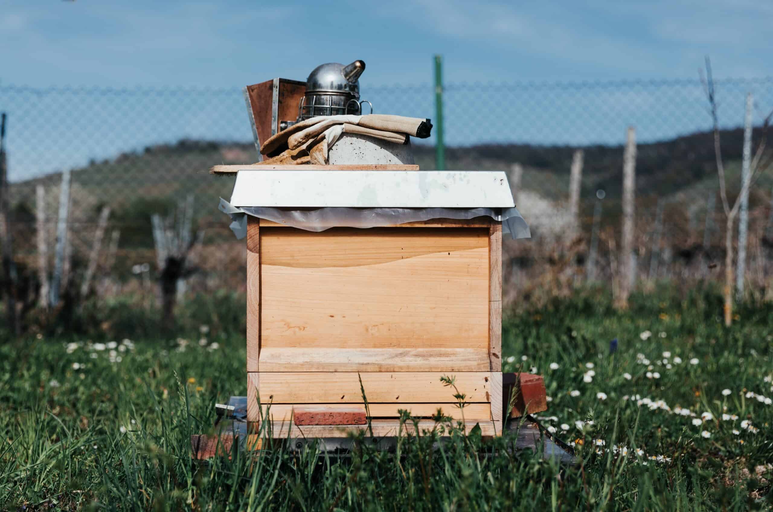 Beekeeping Starter Kits