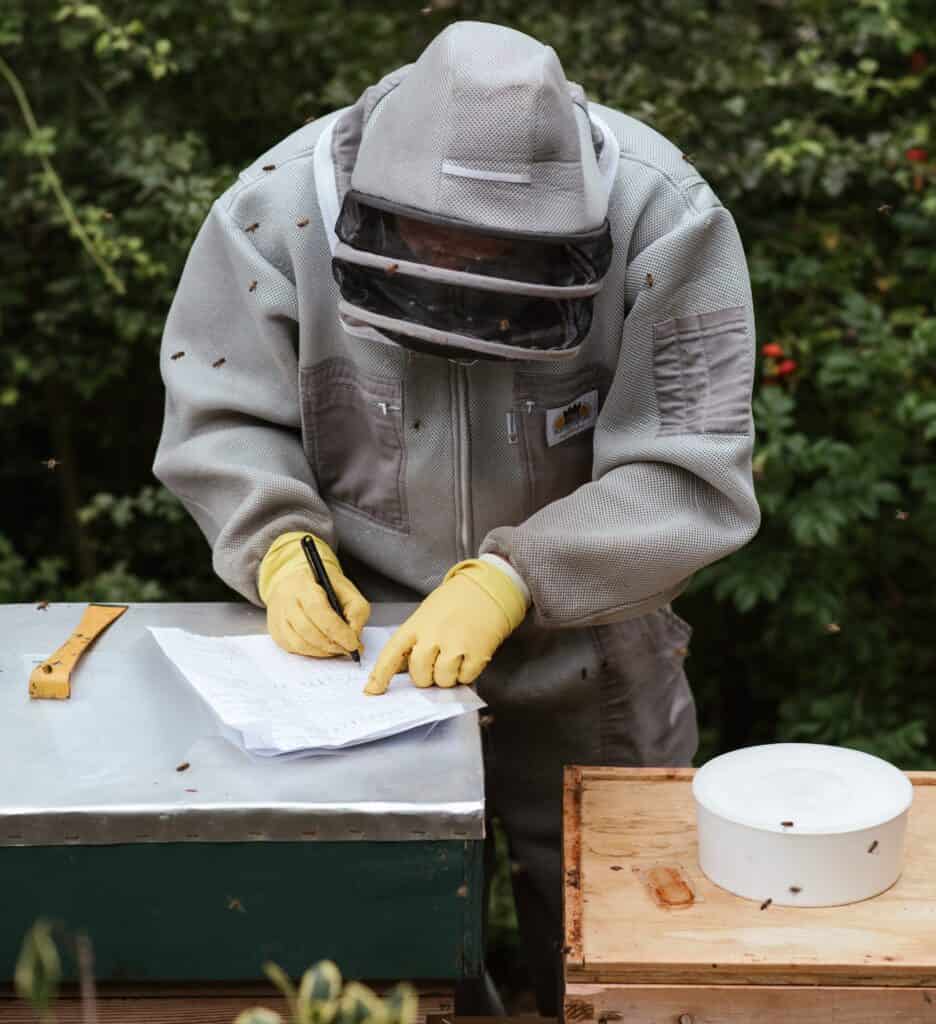 Beekeeping kits for bee hives