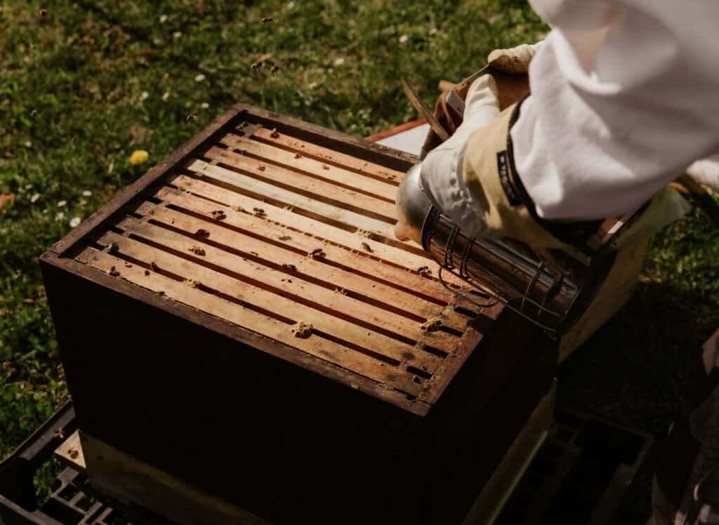 Fully assembled 10-frame beehive kit