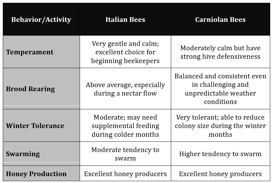 Italian honey bees vs Carniolan honey bees